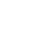 FFESSM